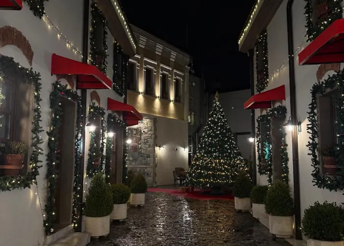 酒店 Hani I Gjelit Hotel, 科尔察