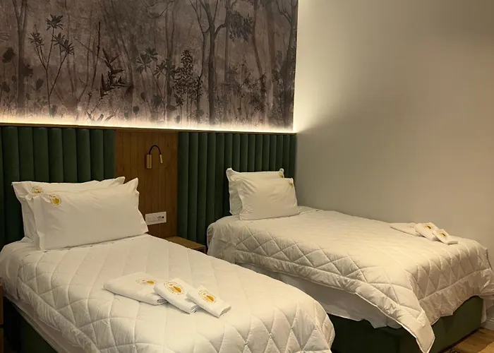 Hani I Gjelit Hotel, 5* 科尔察